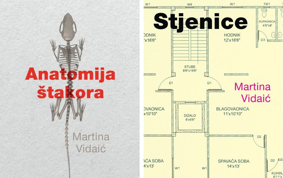 Moderna vremena Martina Vidaić Stjenice i Anatomija štakora